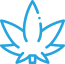 Cannabis-1